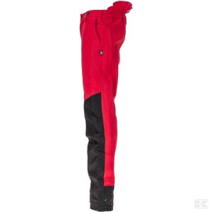 Pantalon de Syviculture