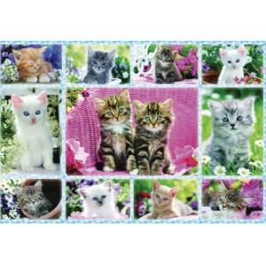 Puzzle chatons