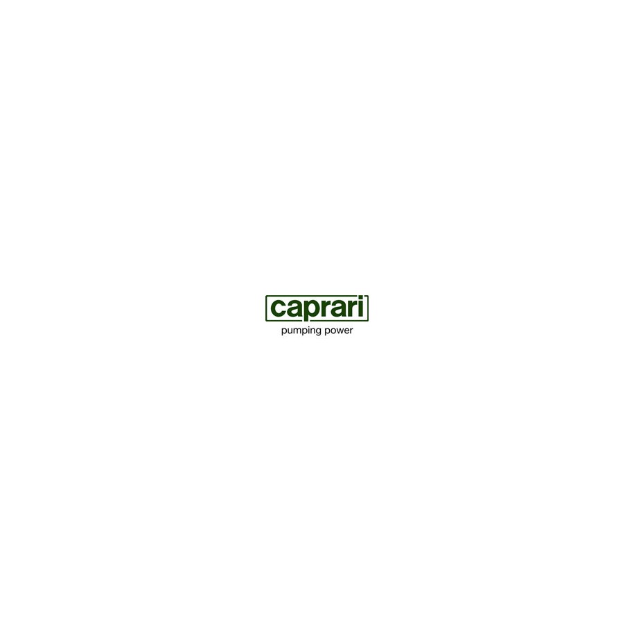 Joint bride pour pompe MEC2A-146 Caprari