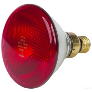 Lampe chauffante à infrarouge 100W rouge